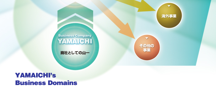 Yamaichi's Business Domains
